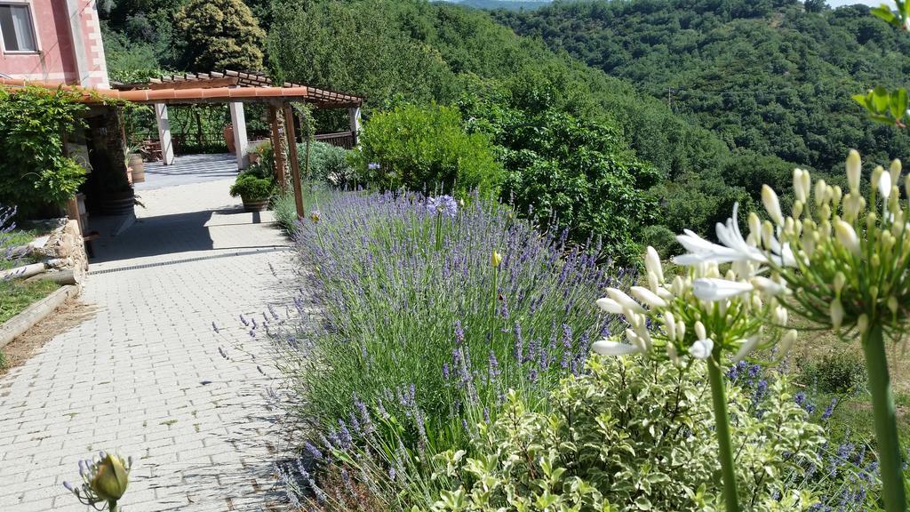 Agriturismo Gocce Di Luna Celle Ligure Exterior photo